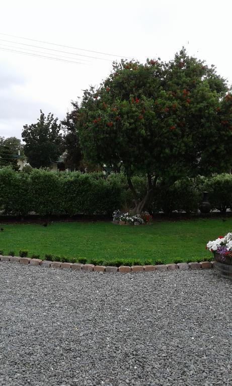 Coeden Cottage Blenheim Dış mekan fotoğraf