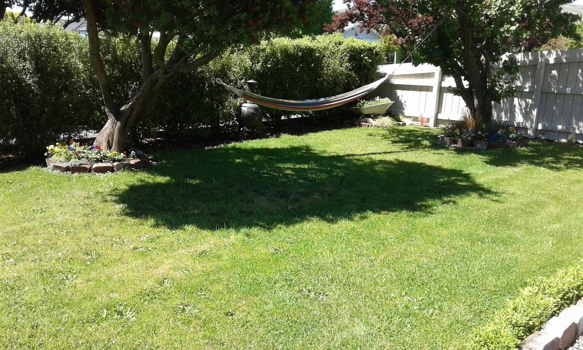 Coeden Cottage Blenheim Dış mekan fotoğraf
