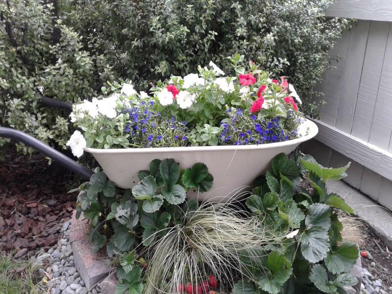 Coeden Cottage Blenheim Dış mekan fotoğraf